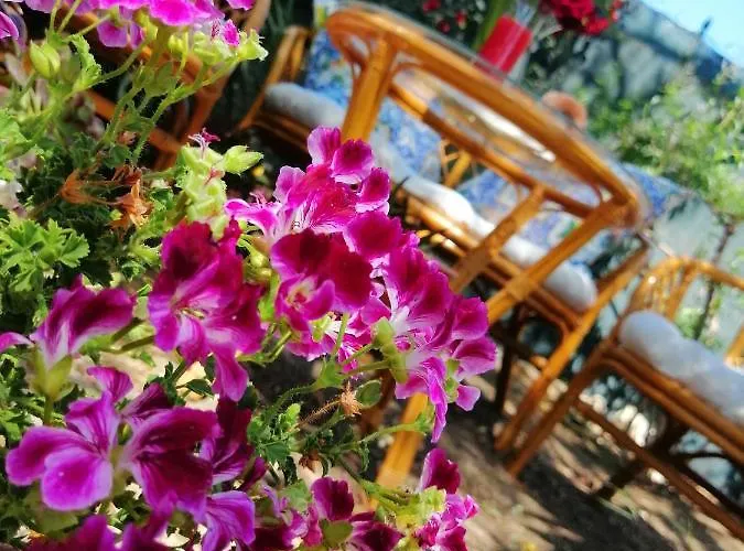 住宿加早餐酒店 Lumie Di Sicilia 恩佩多克莱港